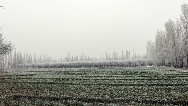 Doğu Anadolu'da dondurucu soğuklar etkisini sürdürüyor